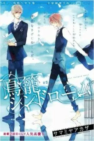 Torikago Syndrome ( 2012 – 2013 )