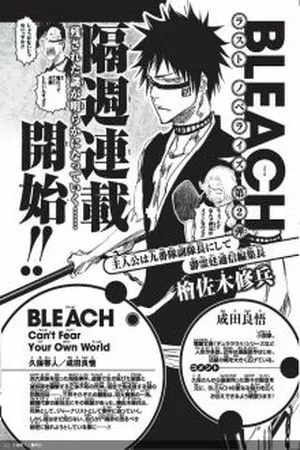 Bleach – Can’t Fear Your Own World ( 2017 )
