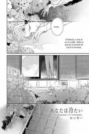 Flower Language of a Hydrangea ( 2016 )