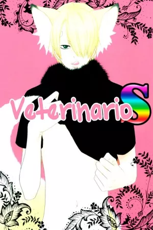 Super Veterinario S