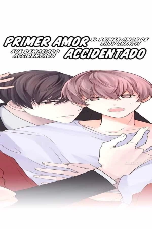 Amor accidentado ( 2020 )
