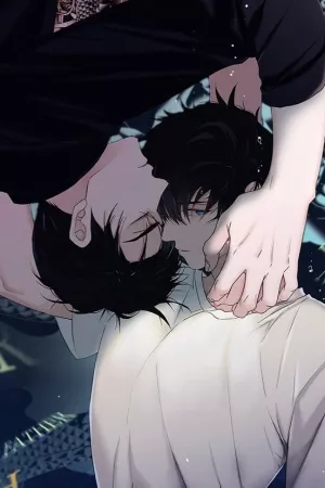 The Words in Your Snare ( 2020 – 2023 )