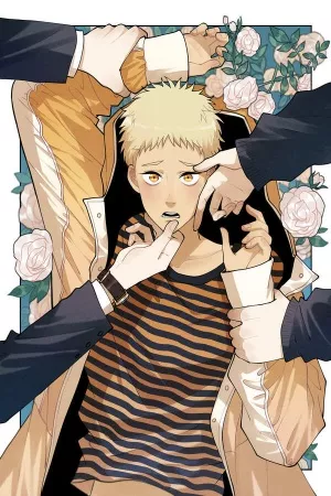 The Chronicle of Teenage Boys ( 2018 – 2019 )