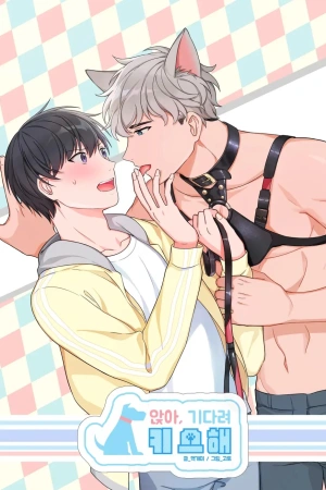 Picking up a Stray ( 2018 – 2019 )